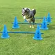 Piquets de course et de saut durables pour chiens produits d'entraînement pour chiens poteau de