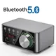 Mini Audio HiFi Bluetooth 5 0 Power Class D Verstärker Tpa3116 Digital Amp 50W * 2 Home Audio Auto