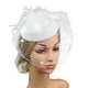 Große Mesh Frauen Hüte Feder Top Hüte Haarnadel Floral Haar Fascinator Hüte Stirnband Luxus Haar