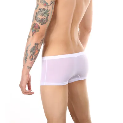Eis Seide Männer Unterwäsche Mann Ultra-dünne Sexy Boxer männer Höschen Transluzente Boxer Kurze Coole Unterhose Boxershorts Image