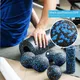 5 in 1 Massage Schaum Rollen & Bälle Fascia Set EPP Hohe Dichte Fitness-Ball Yoga Spalte Tiefe