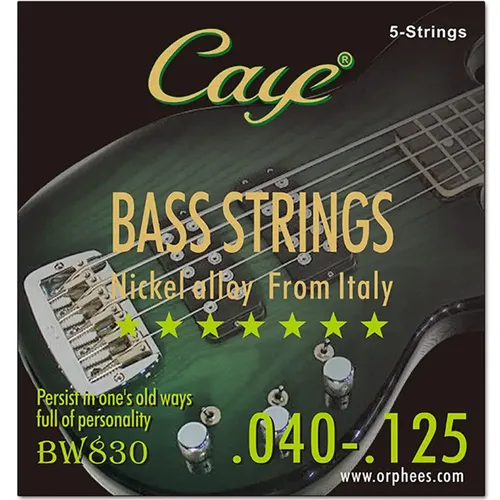 Caye bw serie 4/5/6 stücke bass saiten sechseckiger stahl kern draht bass saiten saiten saiten