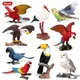 Oenux Original Wilden Vogel Tiere Paradise Flamingos Ara Sea Gull Pelikan Eule Toucan Figuren PVC