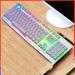 Ergonomic LED Rainbow Keyboard for Game and Work USB Wired Light Up Backlit Gaming Keyboard 104 Key Quiet RGB Keyboard for PC Xbox PS4 PS5 Laptop - Metallic white rainbow light