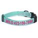 Teal Personalized Reflective Traffic Dog Collar, X-Small, Blue