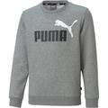 PUMA Kinder Sweatshirt ESS 2 Col Big Logo Crew, Größe 140 in Grau