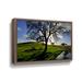 Hokku Designs Dejarvis California Oak in Late Afternoon Light - Print on Canvas in Blue/Green | 12 H x 18 W x 2 D in | Wayfair