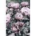 Rosdorf Park Addelynne Vintage Roses by Fotomem Canvas in Pink | 12 H x 8 W x 1.25 D in | Wayfair 1FAFF26B45E049889CB605E8A1C172A3