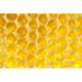 Hokku Designs Tocara Honey Hive On Canvas by Operofilm Photograph Canvas in Yellow | 8 H x 12 W x 1.25 D in | Wayfair