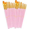 20pcs Pink Paint Brushes Set Round Pointed Tip Paintbrushes Nylon Hair Artist Acrylic Paint Brushes