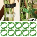 10/20/50Pcs Plant Clips Plastic Vine Hold Clips Tomato Hanging Holder Invisible Vine Climbing Fixed