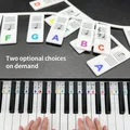 Piano Keyboard Stickers for 88/61 Key Removable Piano Keyboard Note Labels for Learning Piano Notes