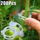 200/50Pcs Plant Support Clips For Garden Tomato Vegetable Vines Upright And Twine Reusable Plant