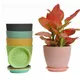 Color Macaron Planter Succulent Plant Flower Pot Resin Container With Drain Hole Flowerpot Figure