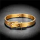 Fashionable Titanium Steel Belt Buckle Personality Trend Gold Silver Four-Color Bangles &