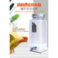 Bird Parrot Pin Type Water Dispenser External Water Dispenser with Large Capacity 800ml Kettle