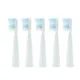 Replaceable Electric Toothbrush Heads Sonic for Seago Tooth brush Head Soft Bristle