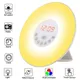 Wake Up Light Alarm Clock Sunrise/Sunset Simulation Luminous Digital Clock with FM Radio Night Light