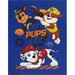 Nickelodeon Canvas Paw Patrol Wall Art Childrens Wall Hanging DÃ©cor 11x14 Inches