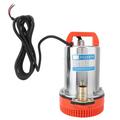 Sjlerst - Pompes à Eau dc 12V Pompe Submersible Deep Well Water Pump Irrigation Water Pump for