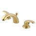 Elements of Design Daytona Widespread Bathroom Faucet w/ Drain Assembly, Stainless Steel in Yellow | 3.5 H in | Wayfair EB6952LL