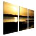 Trademark Fine Art "End of the Day" by Patty Tuggle 3 Piece Photographic Print on Wrapped Canvas Set Canvas in Black/Brown | Wayfair PT010-set3