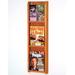 Wooden Mallet 3 Magazine/6 Brochure Wall Display Wood/Plastic in Brown | 36.75 H x 10.5 W x 3 D in | Wayfair LM-4MO