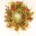 The Holiday Aisle® Montello 26" Fall Winter Berry Floral Wreath For Front Door Most Realistic Faux/Silk in Green/Orange/White | Wayfair