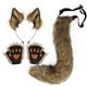 Faux Fur Fox Cat Ears Headband Tail Gloves Set - Cute Cat Costume Furry Ears & Tail & Paws Animal Costume Fancy Dress Up Halloween Christmas Carnival Cosplay Stage Dress Up
