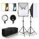 Photography LED Lamp Bead Softbox Lighting Kit Two Color Continuous Light Soft Box 45W System