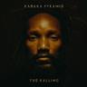 The Kalling (CD, 2023) - Kabaka Pyramid