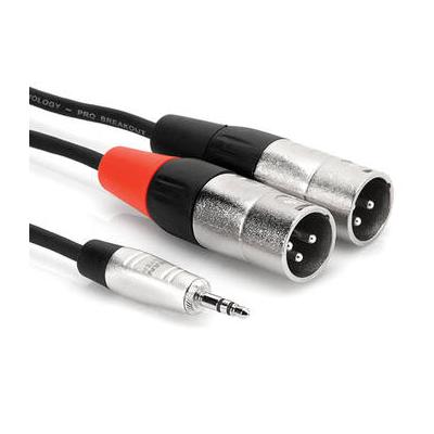 Hosa Technology Pro Stereo Breakout Cable - 3.5mm Stereo Mini to Dual 3-Pin XLR Male (10') HMX-010Y