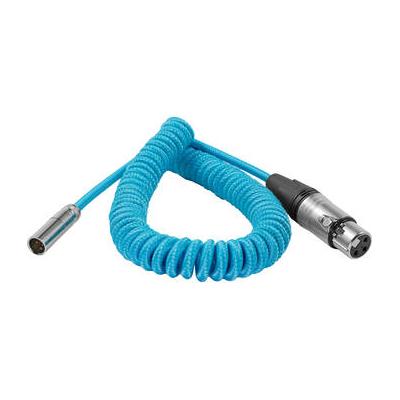 Kondor Blue Coiled Mini-XLR to XLR Cable for Canon...