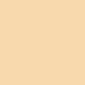 Savage #25 Beige Seamless Background Paper (26" x 36') 25-2612