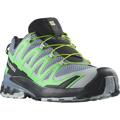 Trailrunningschuh SALOMON "XA PRO 3D V" Gr. 43, grau (grau, grün) Schuhe Herren Outdoor-Schuhe