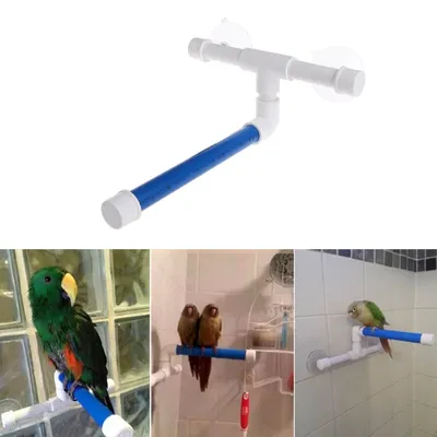 Saugnapf Vogel Fenster und Dusch barsch Spielzeug für Papagei Ara Kakadu Afrikaner für Grey Conure Image