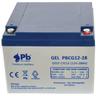 12v 28ah Gel Ciclico SolarVeicoli Pbcg12-28 Batteria al piombo 12v 28ah Gel Ciclico SolarVeicoli