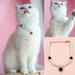 LA TALUS Pet Necklace Adjustable Ultralight Lobster Clasp Design Friendly to Skin Easy-wearing Dress-up ABS Pet Cat Faux Pearl Necklace with Heart Pendant Pet Supplies Black M