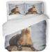 ZHANZZK 3 Piece Bedding Set North American River Otter Lontra Canadensis on Rock in Qualicum Beach British Twin Size Duvet Cover with 2 Pillowcase for Home Bedding Room Decoration