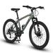 24 Inch Mountain Bike for Boys Girls Shimano 21 Speed Mountain Bicycle with Daul Disc Brakes and Front Suspension MTB Gray