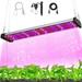 LED Grow Light Bars Full Spectrum LED Plant Growing Lamp 58/96/120/196LEDs with Pull Chain Switch for Veg Greenhouse Micro Greens And Flower Clones Succulents Seedlings