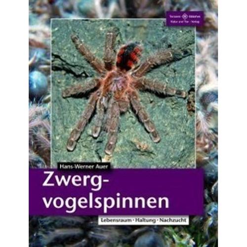 Zwergvogelspinnen - Hans-Werner Auer, Kartoniert (TB)