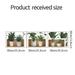 Potted Plant Print Wall Sticker Adhesive Removable Wall Art Sticker Mural