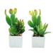 2pcs simulation succulent cactus plant bonsai creative small ornaments square pots artificial green plants - type:style3;