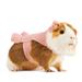 Blush Teddy Small Animal Dog Hoodie, Pink, X-Small