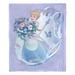 ENT 236 Disney 100 Celebration Cinderella Silk Touch Throw Blanket