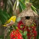 Nid d'oiseau en paille tissée à la main pour l'extérieur avec poches de rôtisserie nid d'oiseau