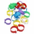 30Pcs Internal Diameter 25mm Poultry Foot Ring Buckle Type Clip Rings Chicken Duck Goose Adult