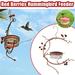 Clearance YOHOME Courtyard bird feeder Red Berries Hummingbird Feeder Red