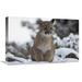 Global Gallery 16 x 24 in. Mountain Lion Juvenile in Snow North America Art Print - Tim Fitzharris